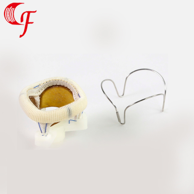 心脏瓣膜瓣架（Heart valve frame）